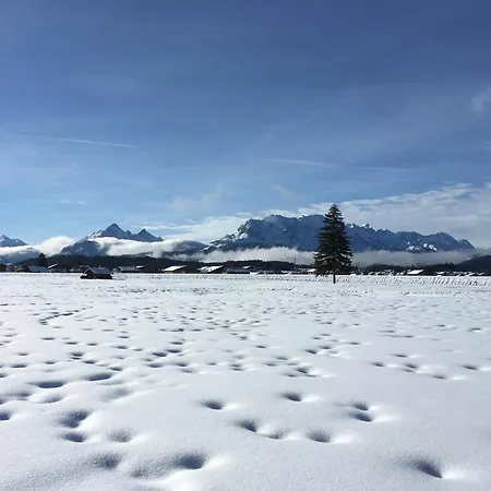 Soiernseelig