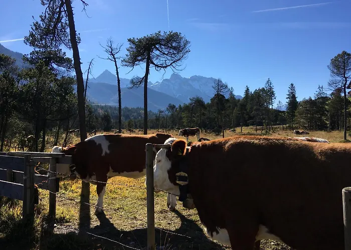 Soiernseelig * Wallgau